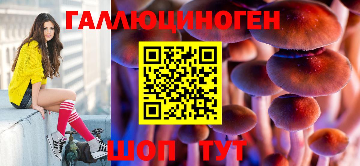 Псилоцибиновые грибы прущие грибы Альметьевск