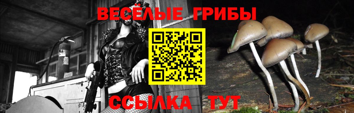 Альметьевск  Галлюциногенные грибы Magic Shrooms  Псилоцибиновые грибы ЛСД  Вход с VPN 
